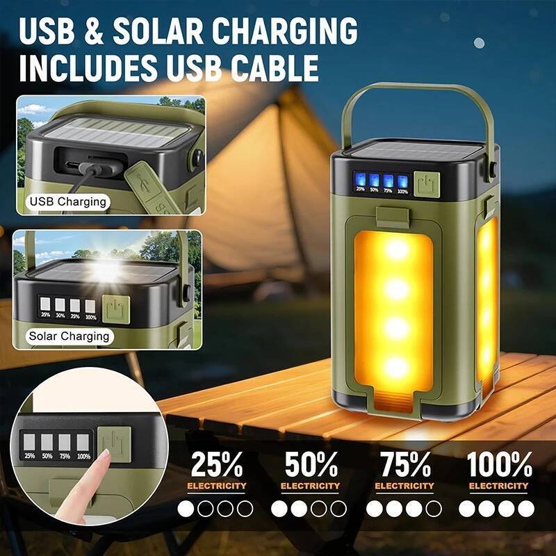 Outdoor Portable Mobile Power  - Outdoor Lighting Bronze review and price