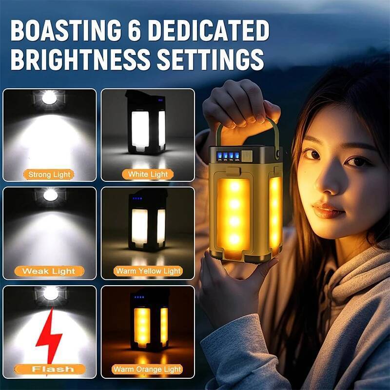 Outdoor Portable Mobile Power  - Outdoor Lighting Bronze review and price