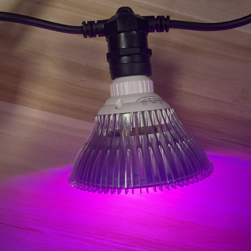 10M Cable LED String Commercia - Outdoor Lighting In Ground review and price