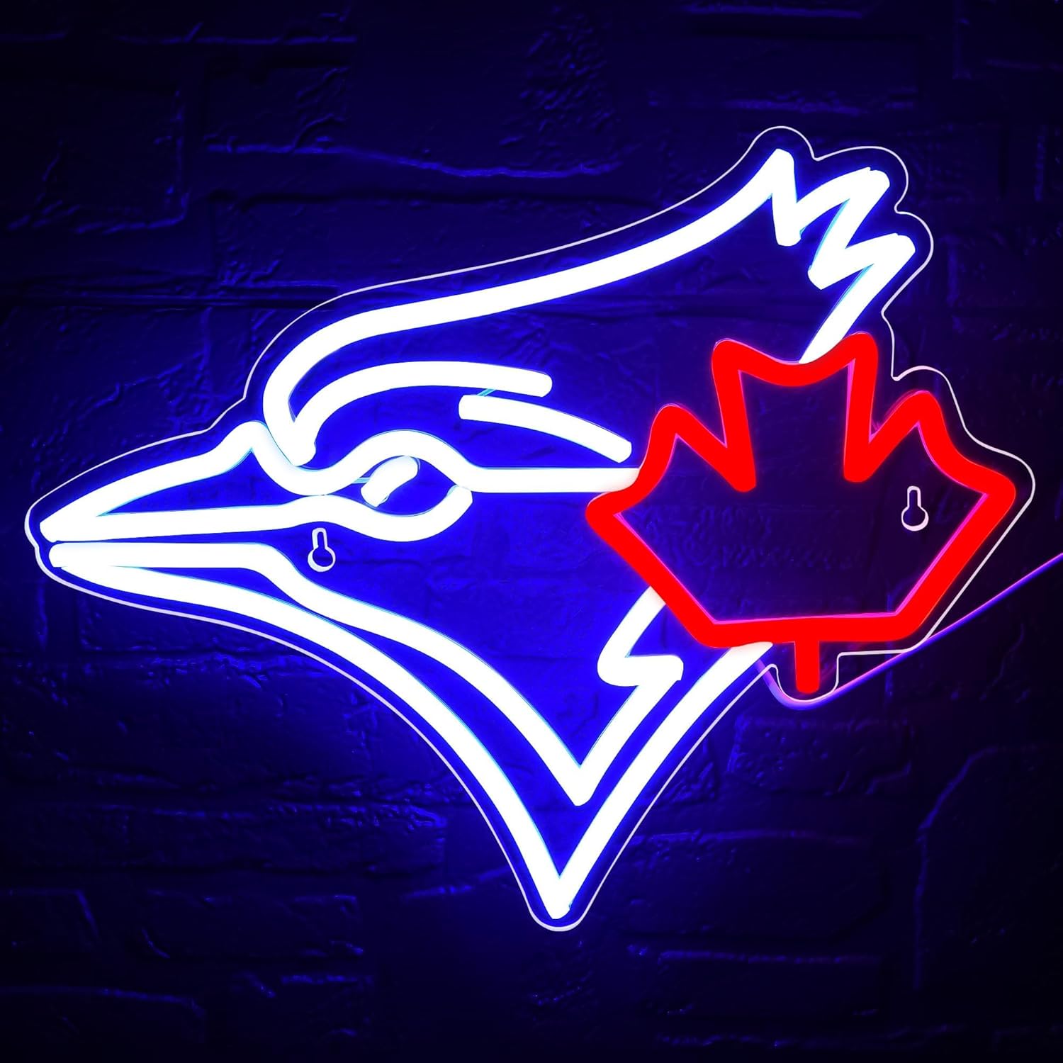 USB Dimmable Blue Jay with Map - Outdoor Lighting Canada review and price