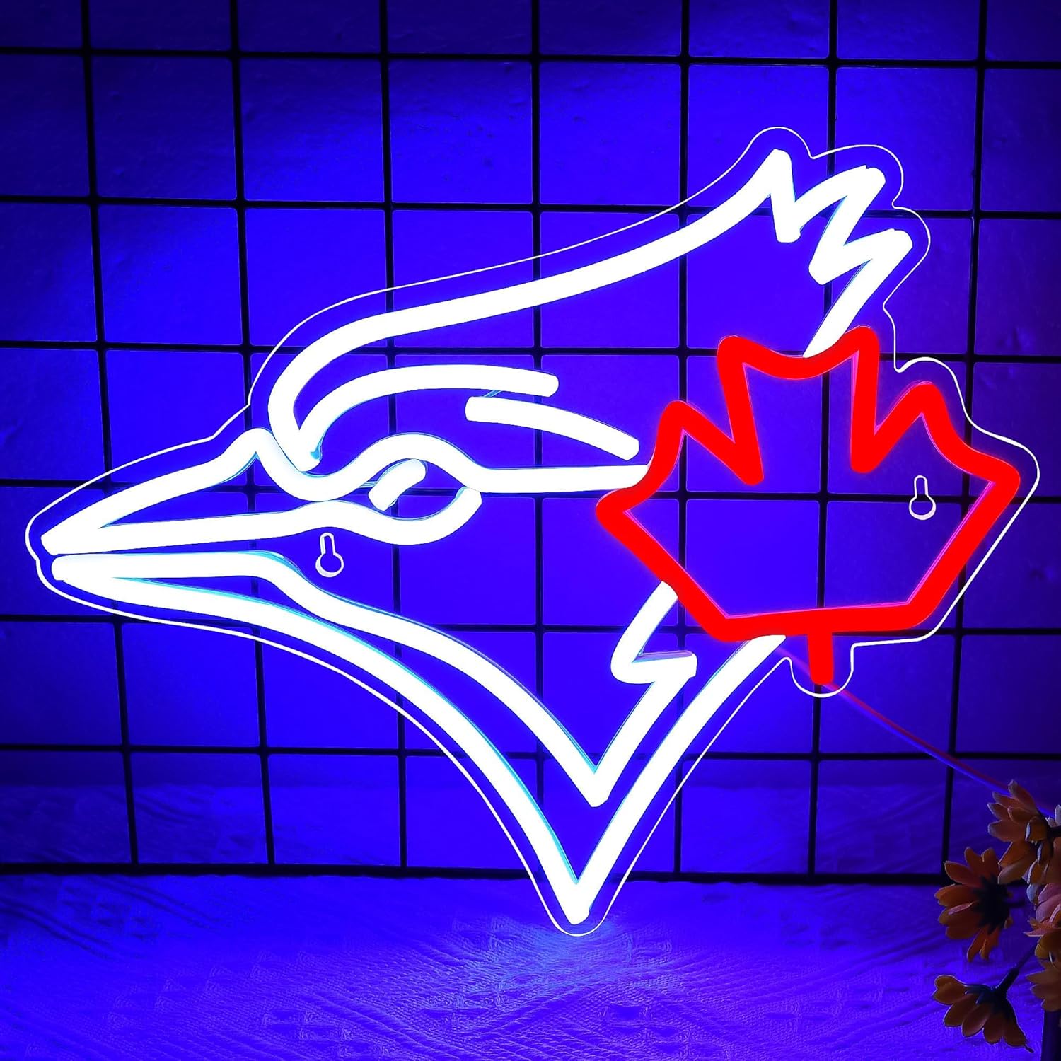 USB Dimmable Blue Jay with Map - Outdoor Lighting Canada review and price