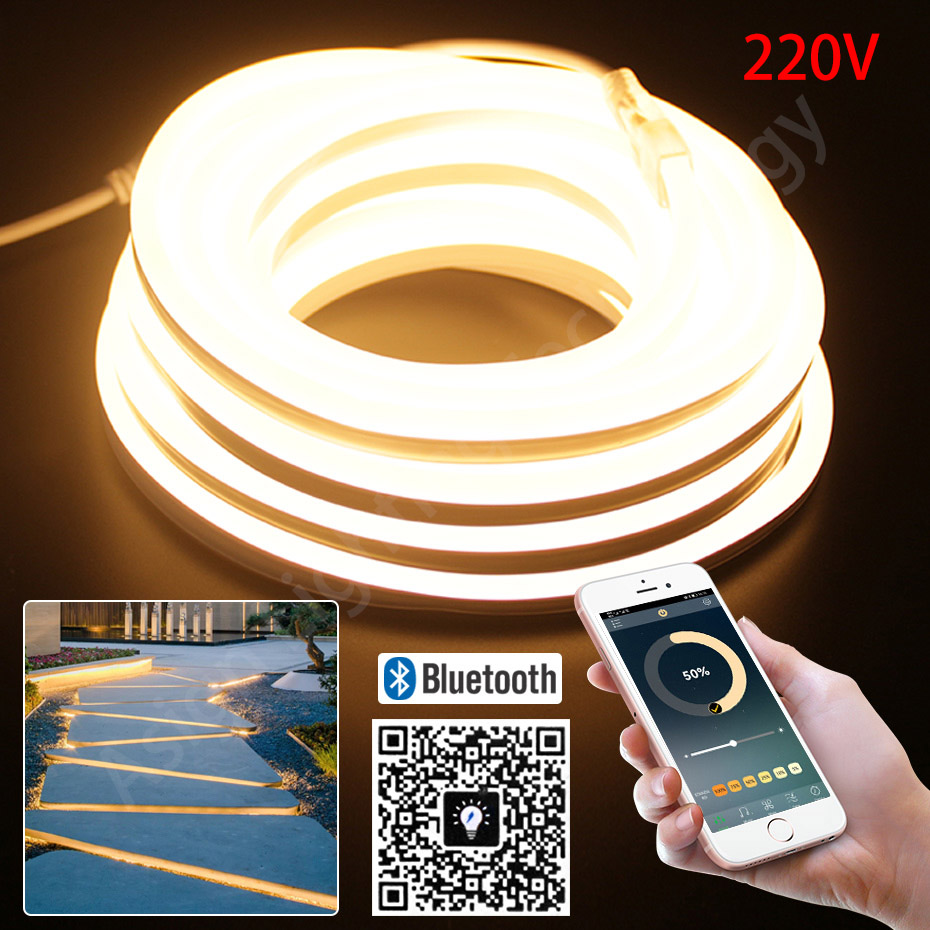 LED Neon Strip 220V 2835 120 L - Outdoor Lighting Timer Switch review and price