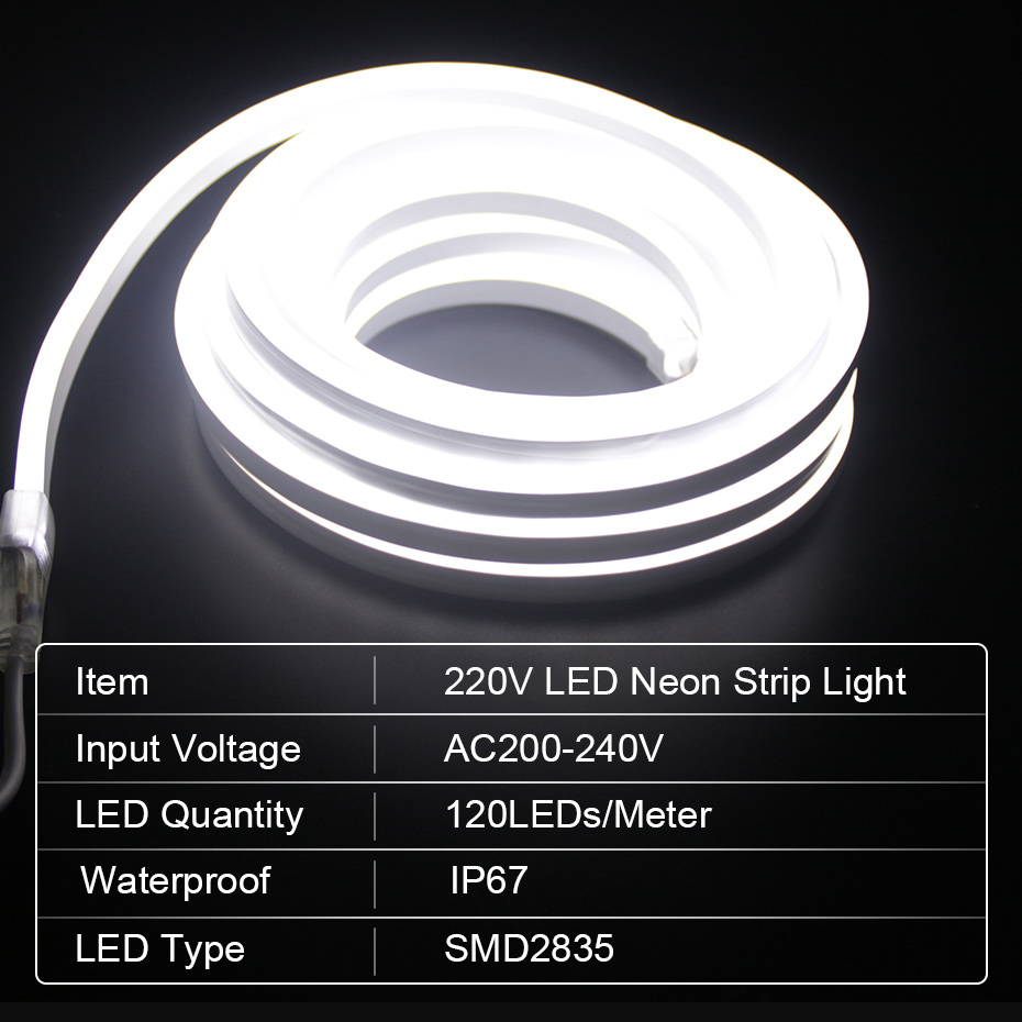 LED Neon Strip 220V 2835 120 L - Outdoor Lighting Timer Switch review and price