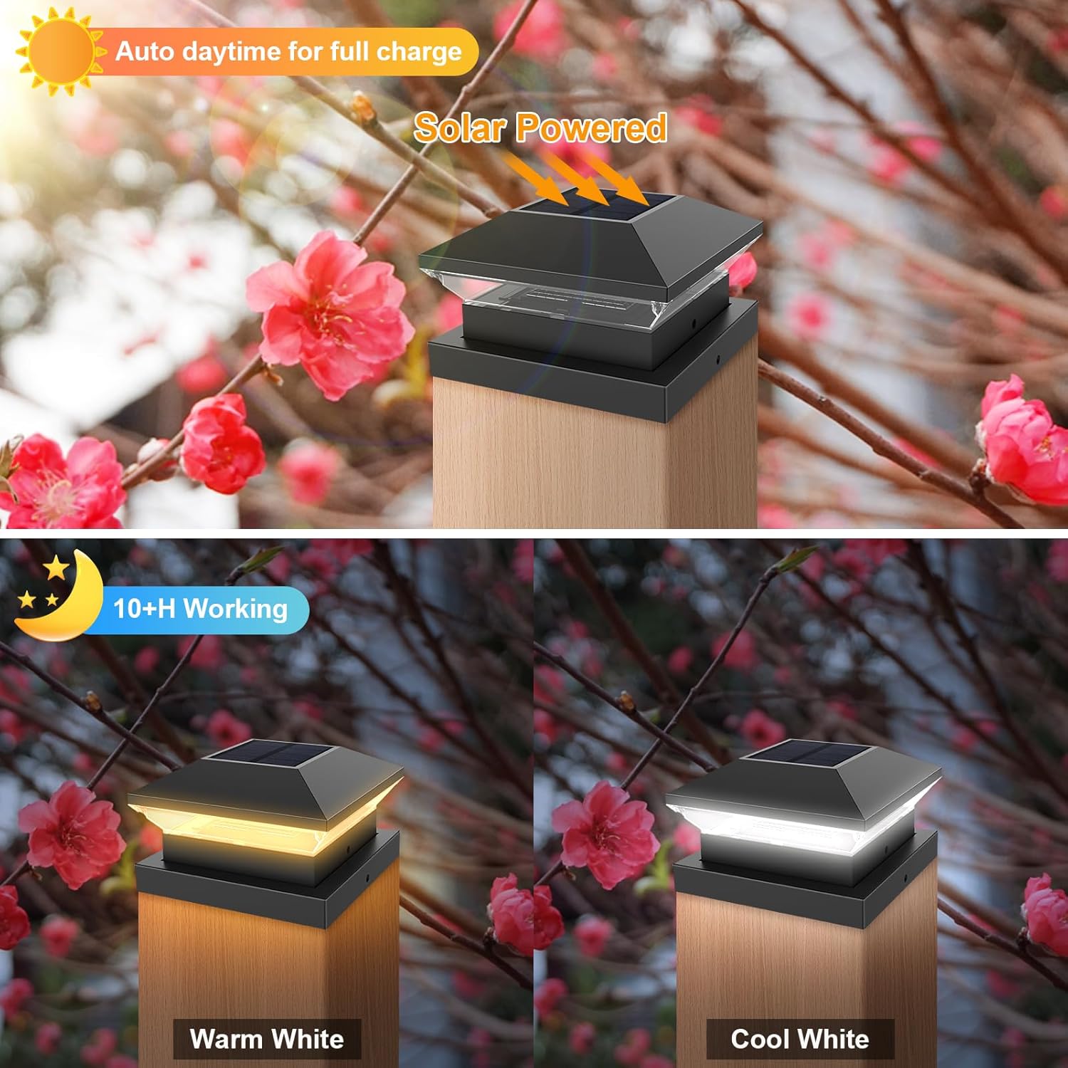 Solar Post Light Post Caps Sol - Post Cap Light review and price